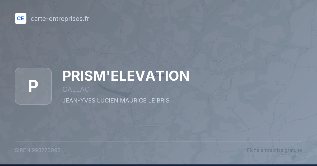 PRISM'ELEVATION — 993773092 — fiche entreprise