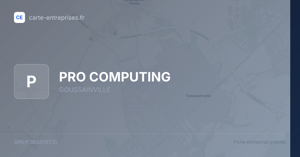 PRO COMPUTING — 383556230 — fiche entreprise