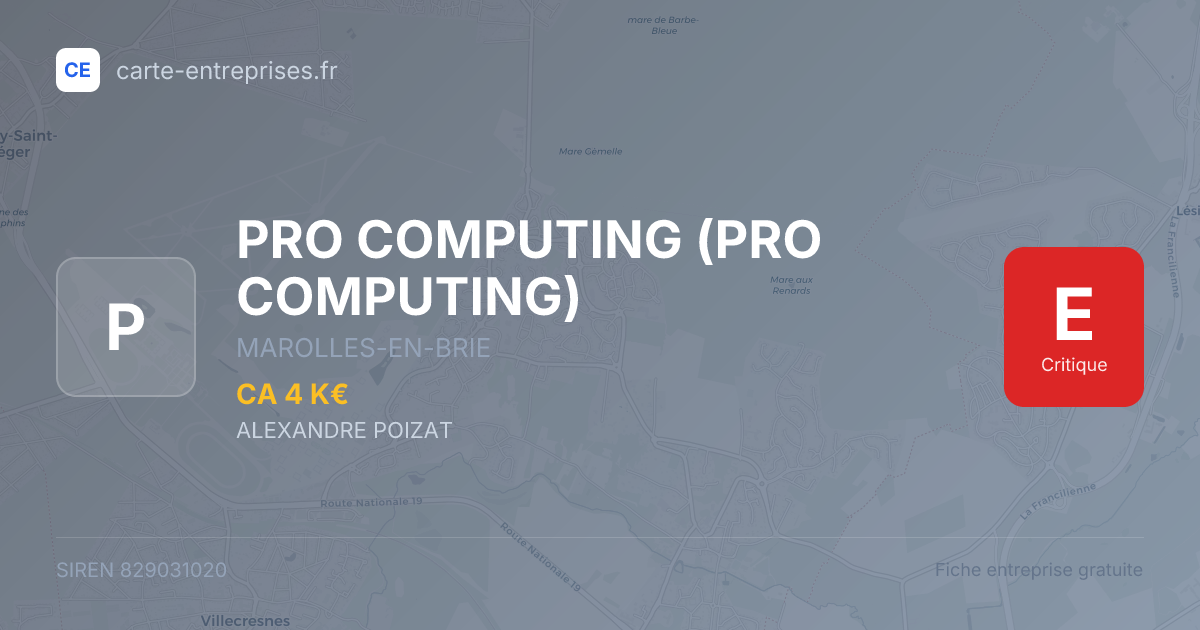 PRO COMPUTING — 829031020 — fiche entreprise