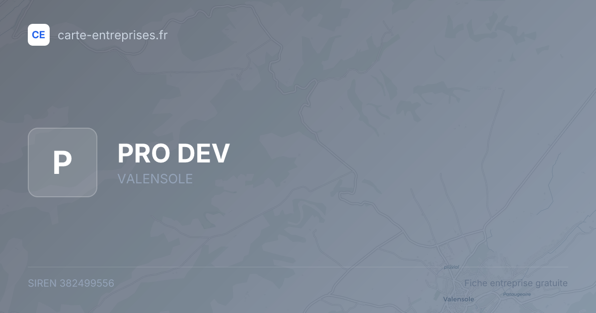 PRO DEV — 382499556 — fiche entreprise
