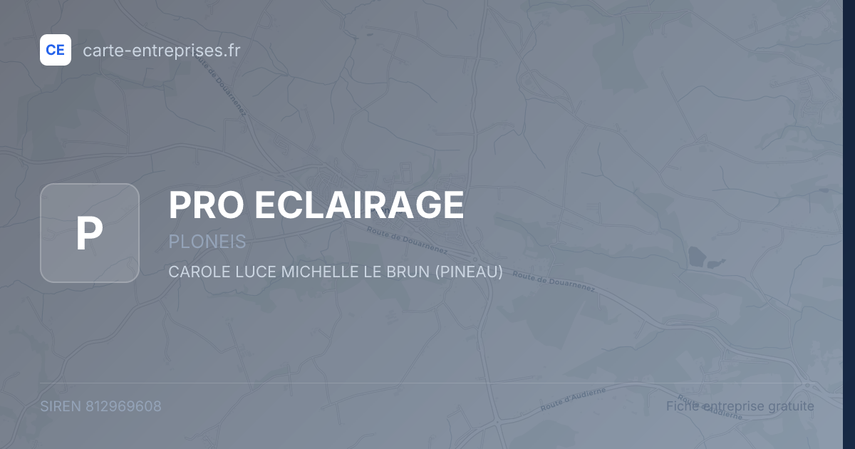 PRO ECLAIRAGE — 812969608 — fiche entreprise