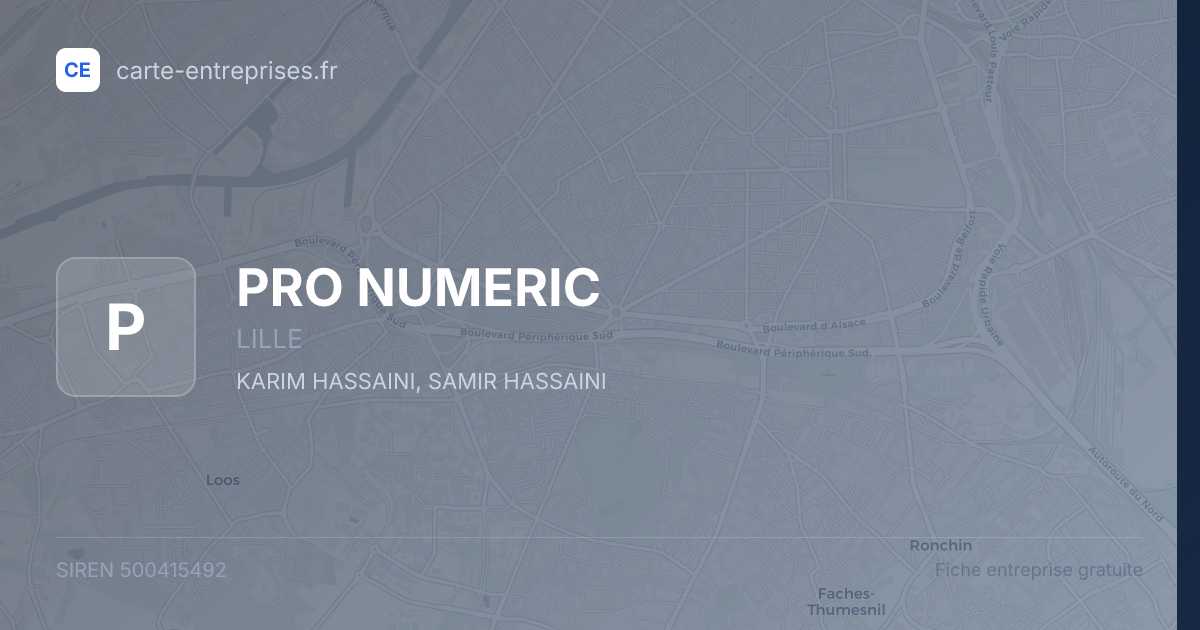 PRO NUMERIC — 500415492 — fiche entreprise