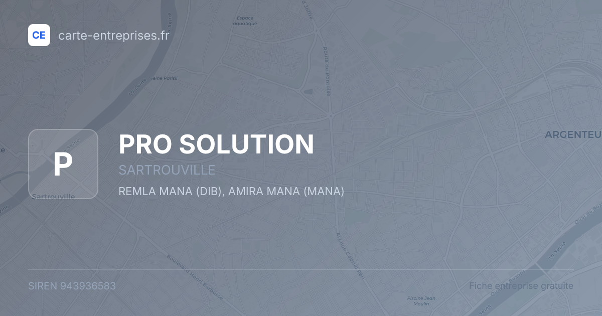 PRO SOLUTION — 943936583 — fiche entreprise