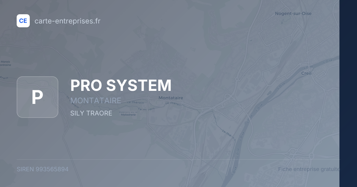 PRO SYSTEM — 993565894 — fiche entreprise