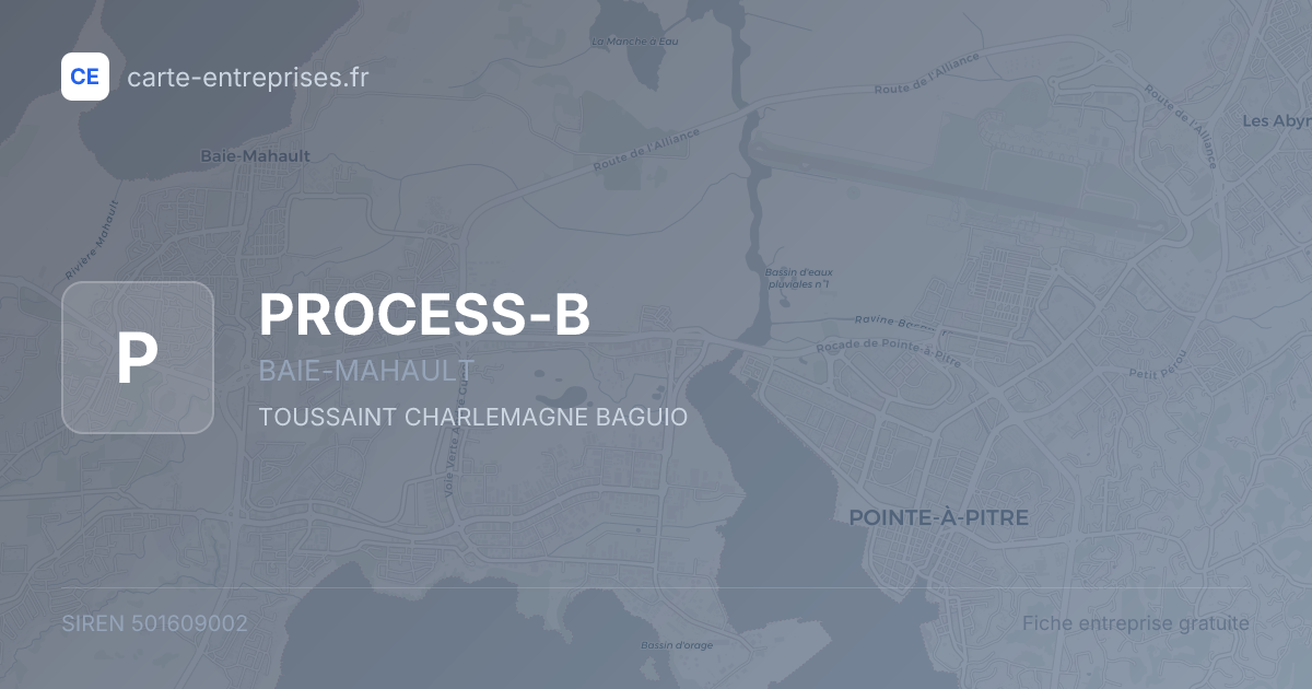 PROCESS-B — 501609002 — fiche entreprise