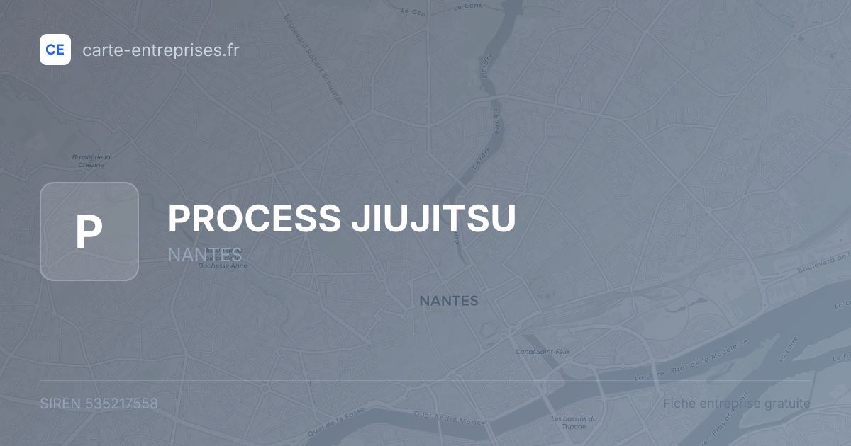 PROCESS JIUJITSU — 535217558 — fiche entreprise