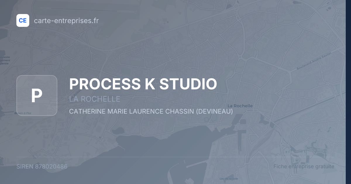 PROCESS K STUDIO — 878020486 — fiche entreprise