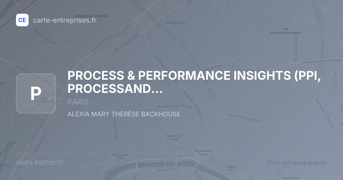 PROCESS & PERFORMANCE INSIGHTS (PPI, PROCESSANDPERFORMANCE) — 939718177 — fiche entreprise