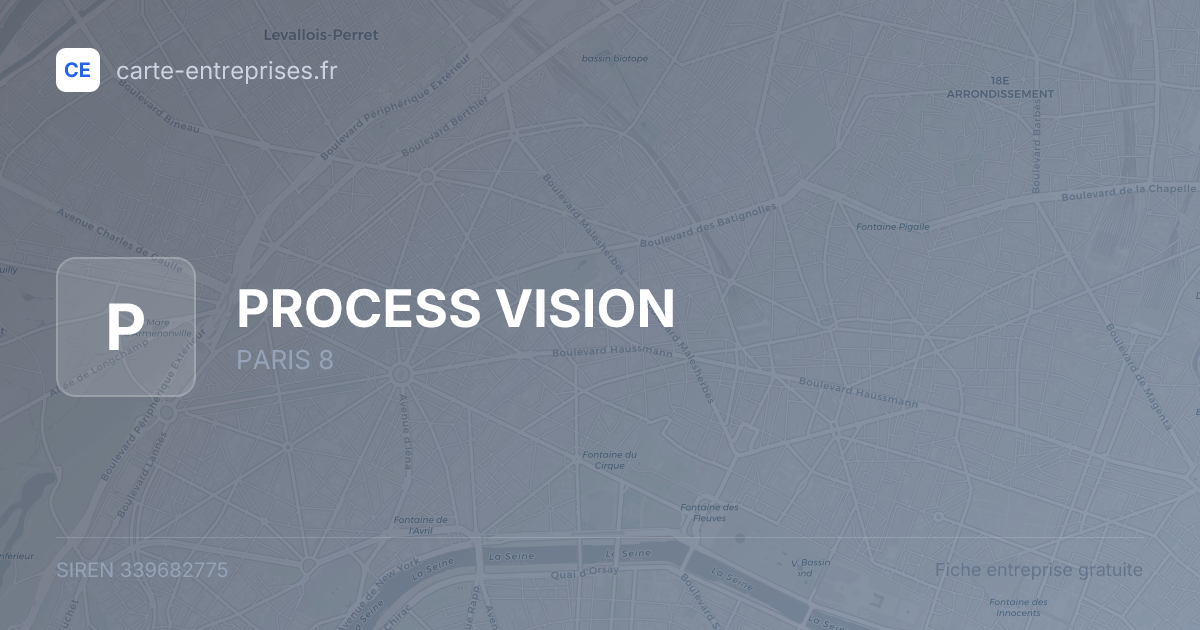 PROCESS VISION — 339682775 — fiche entreprise