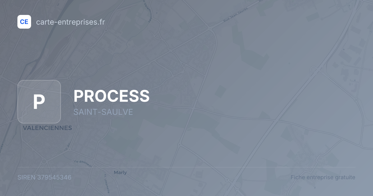 PROCESS — 379545346 — fiche entreprise