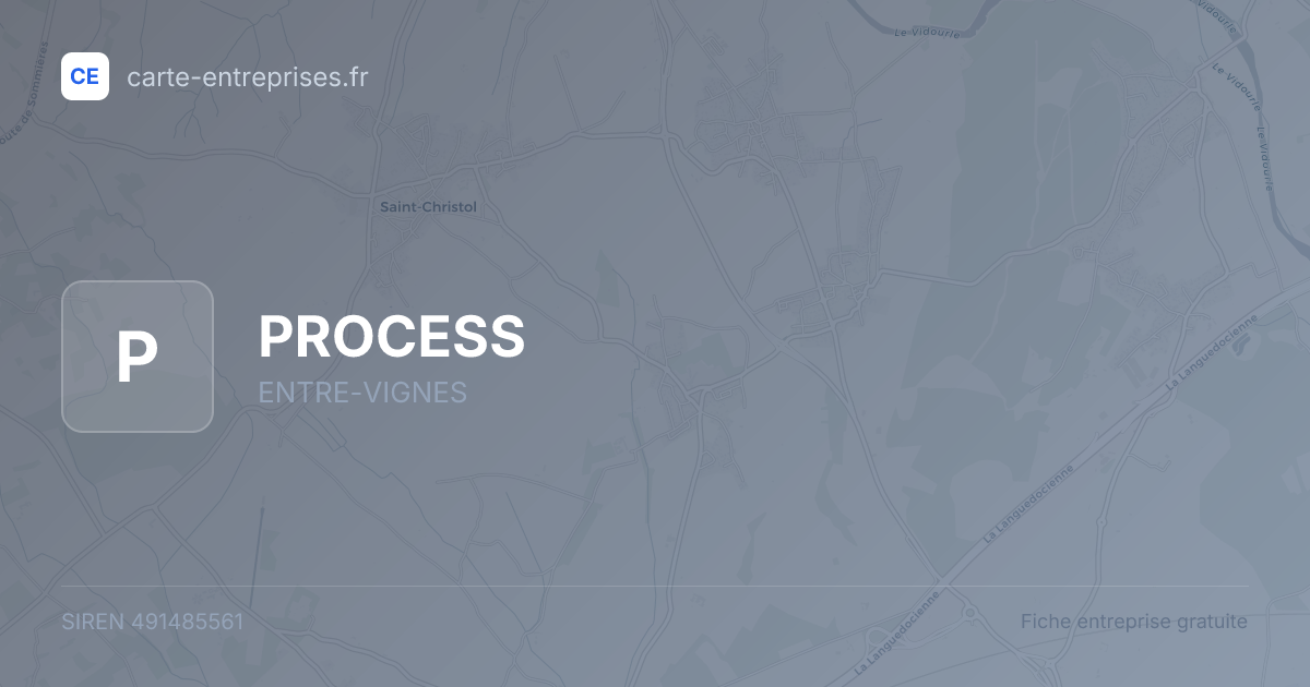 PROCESS — 491485561 — fiche entreprise