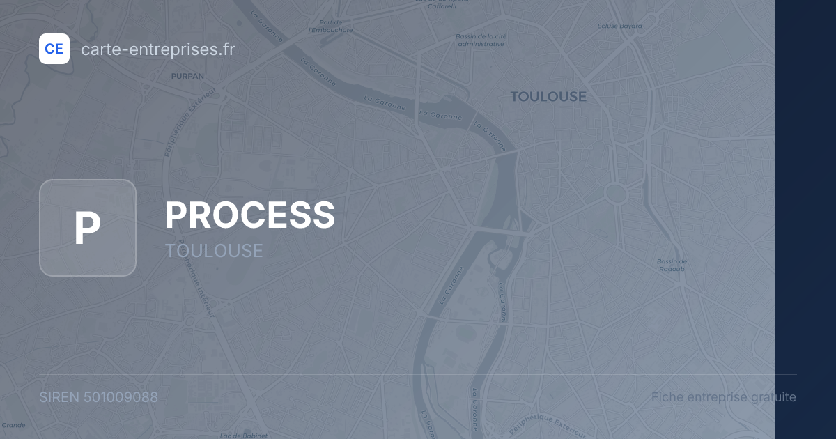 PROCESS — 501009088 — fiche entreprise