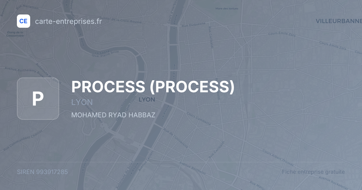 PROCESS — 993917285 — fiche entreprise