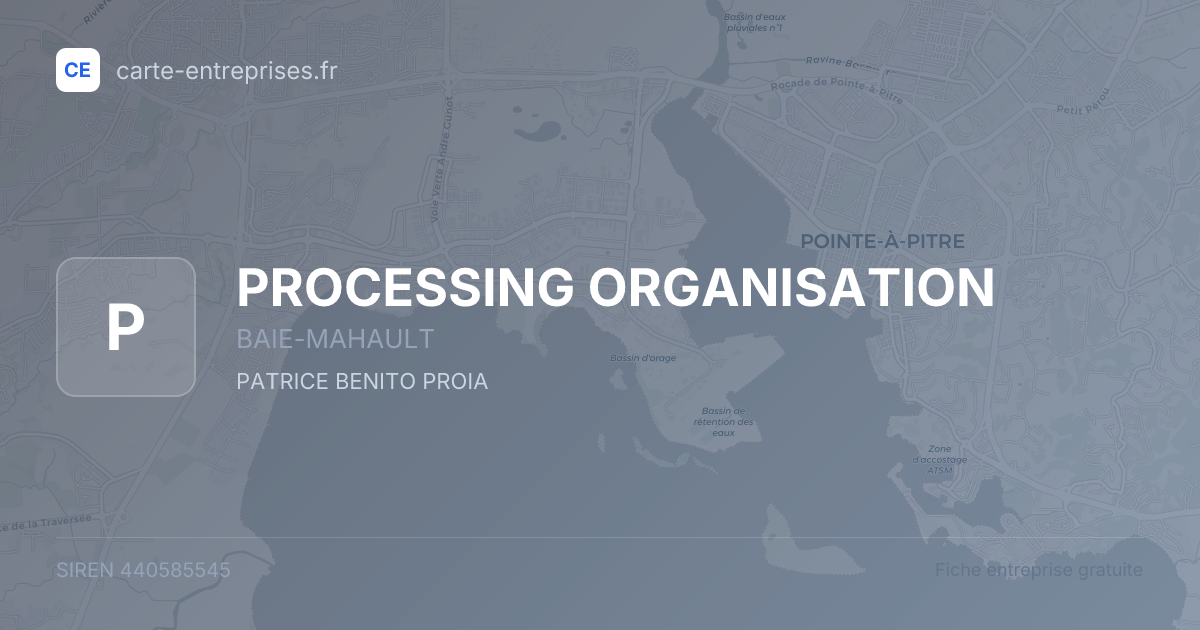 PROCESSING ORGANISATION — 440585545 — fiche entreprise