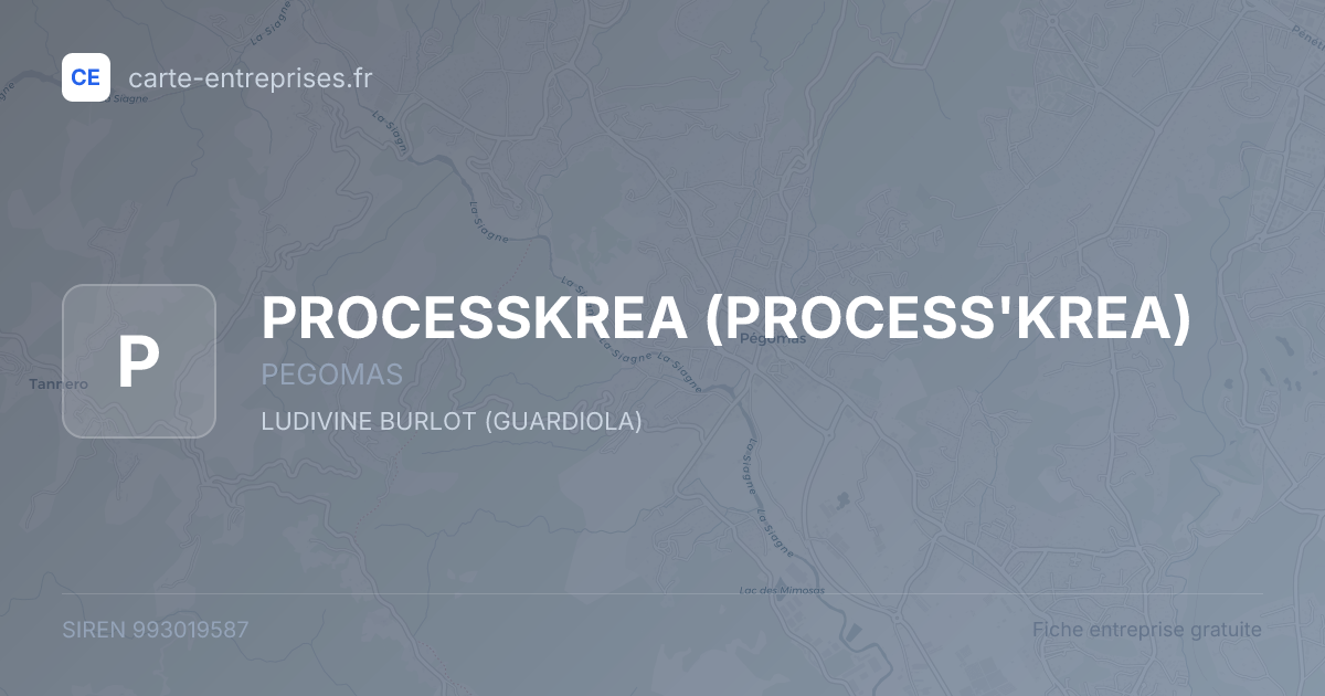 PROCESSKREA (PROCESS'KREA) — 993019587 — fiche entreprise