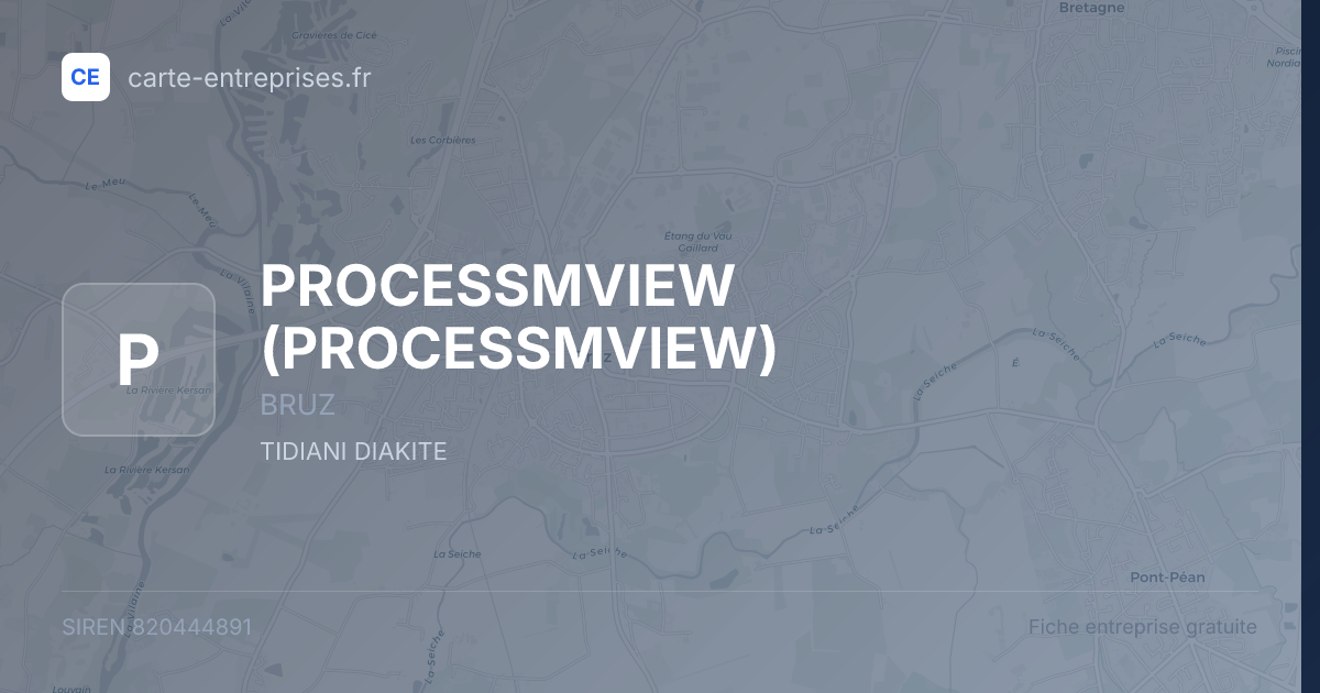 PROCESSMVIEW — 820444891 — fiche entreprise