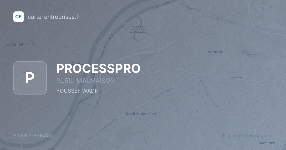 PROCESSPRO — 918515883 — fiche entreprise