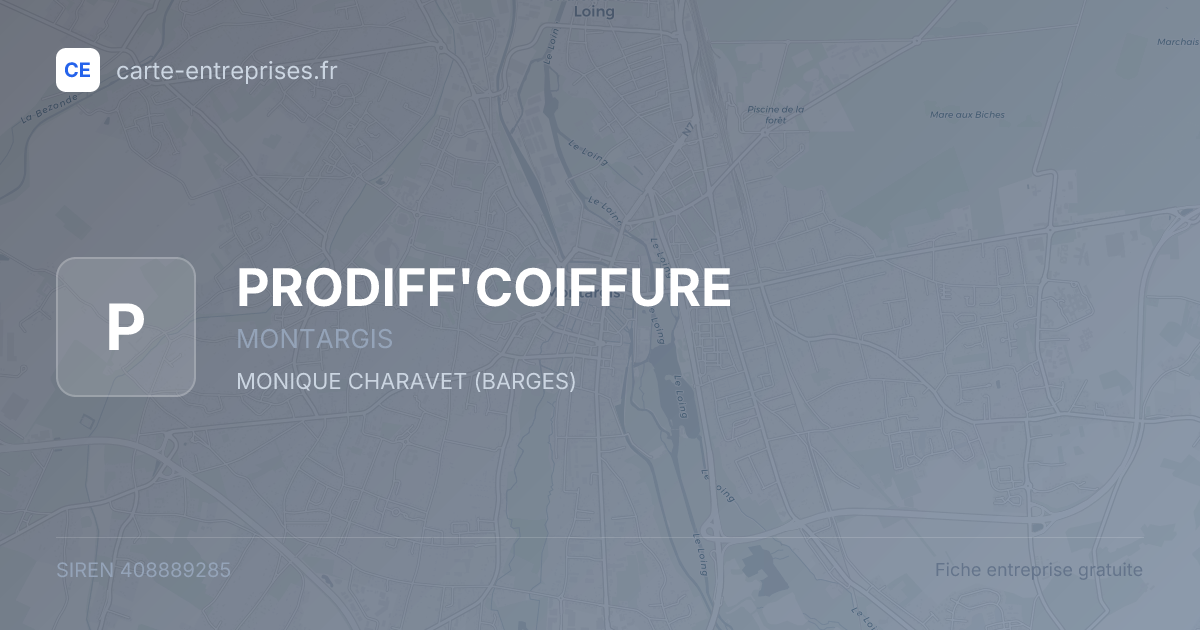 PRODIFF'COIFFURE — 408889285 — fiche entreprise