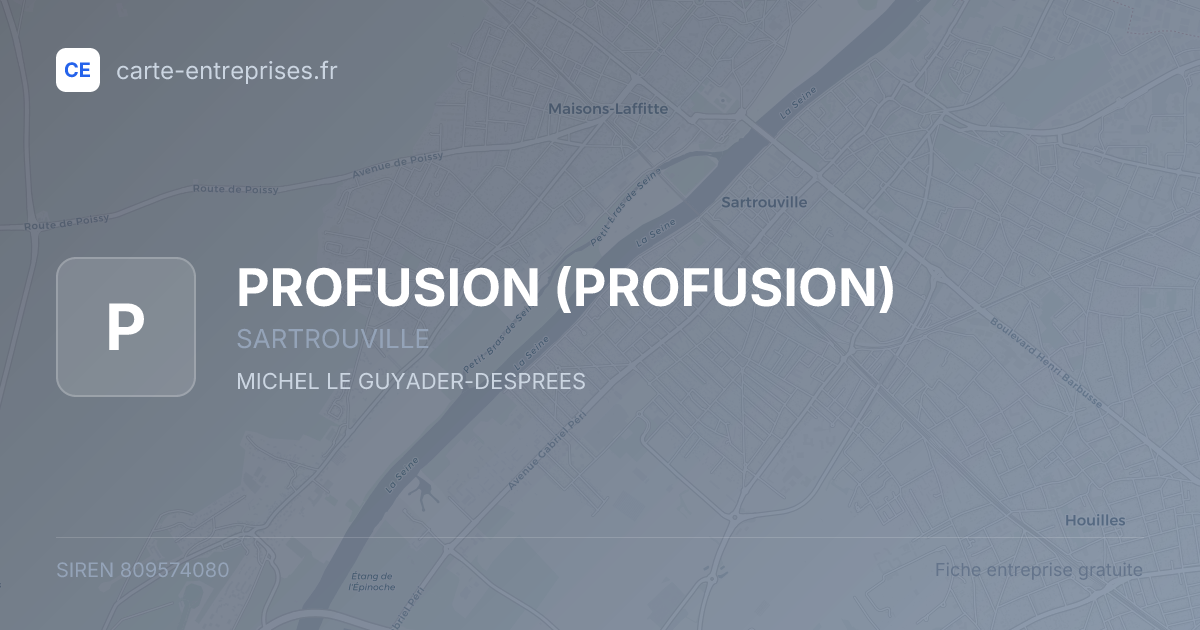 PROFUSION — 809574080 — fiche entreprise