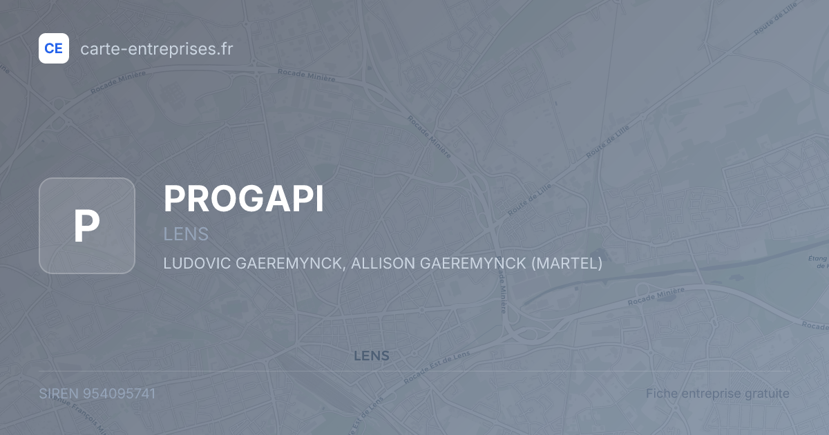 PROGAPI — 954095741 — fiche entreprise