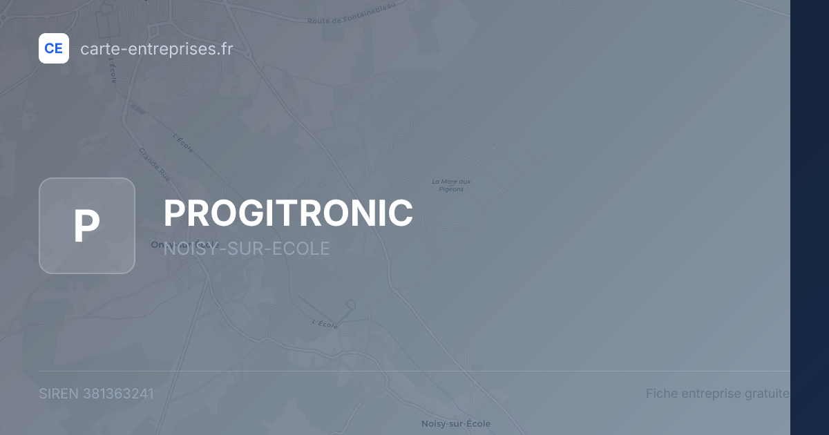 PROGITRONIC — 381363241 — fiche entreprise