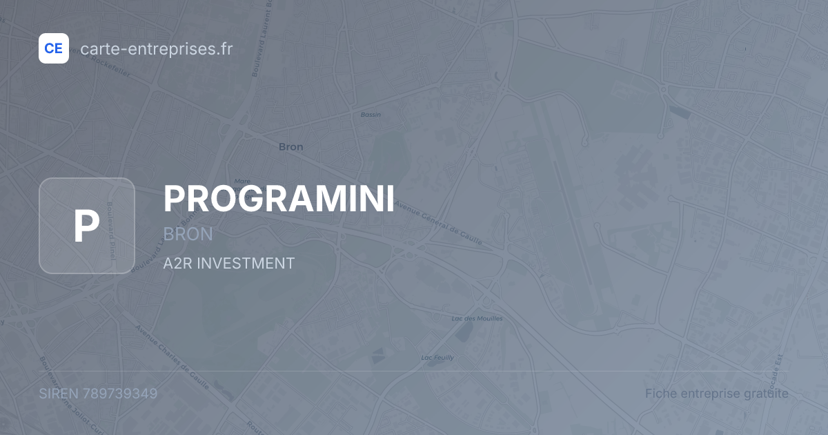 PROGRAMINI — 789739349 — fiche entreprise