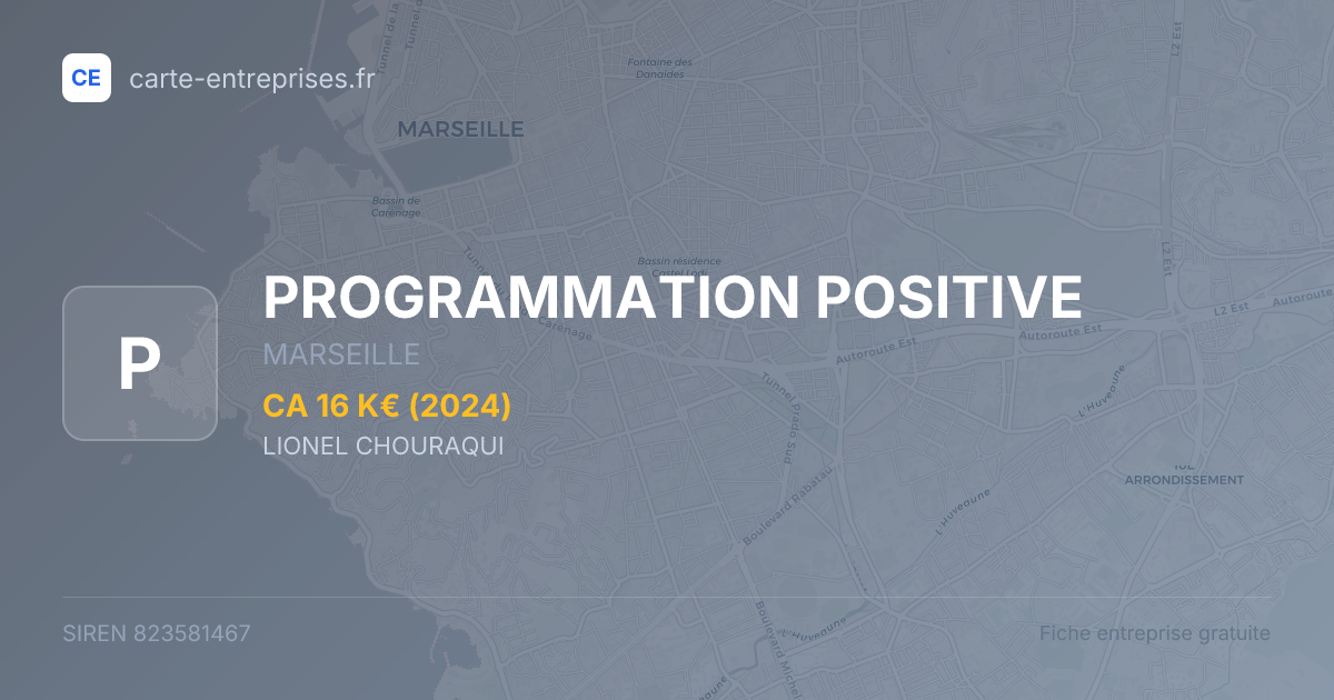 PROGRAMMATION POSITIVE — 823581467 — fiche entreprise