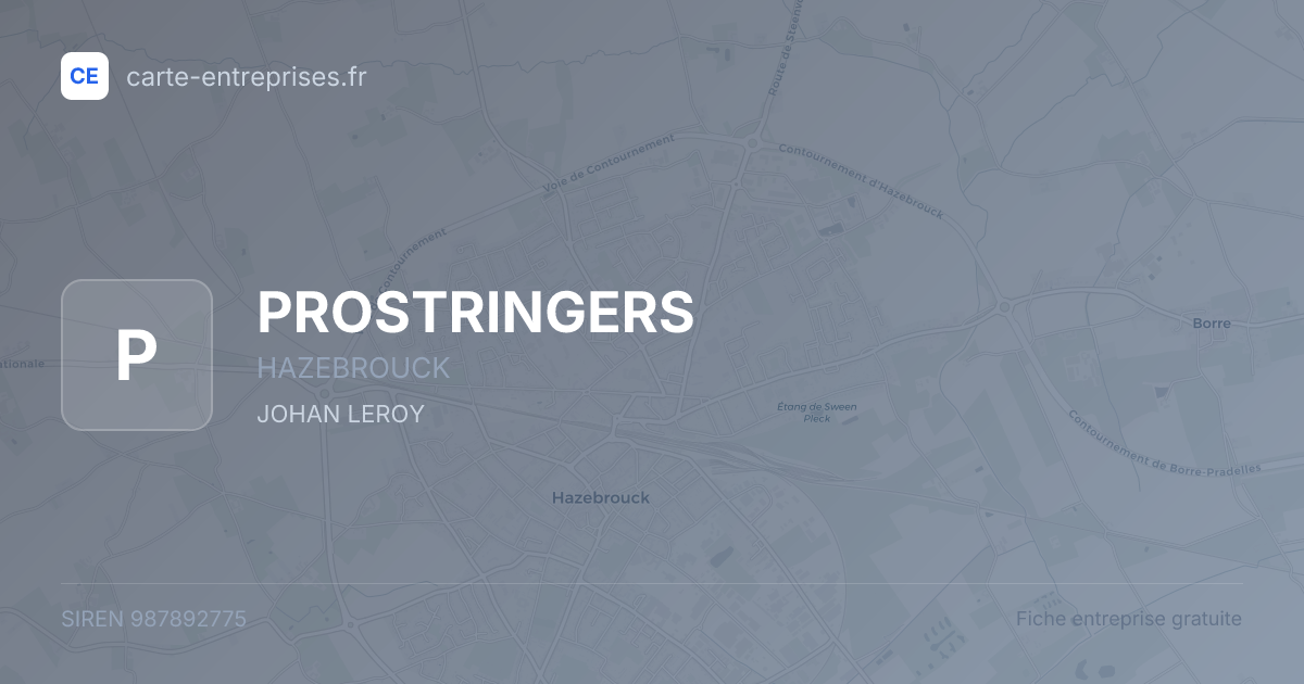 PROSTRINGERS — 987892775 — fiche entreprise