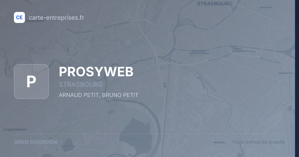 PROSYWEB — 500080056 — fiche entreprise