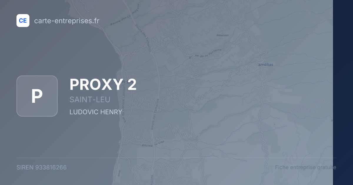 PROXY 2 — 933816266 — fiche entreprise