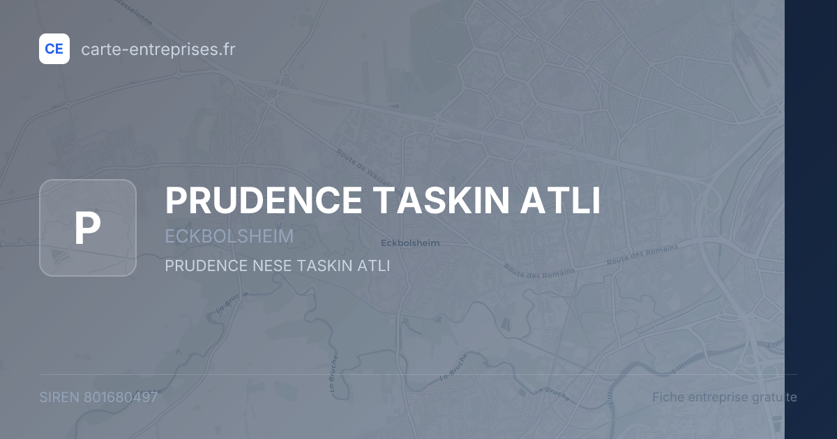PRUDENCE TASKIN ATLI — 801680497 — fiche entreprise