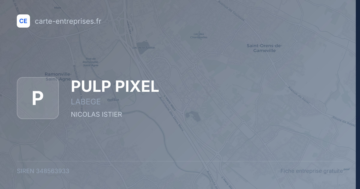 PULP PIXEL — 348563933 — fiche entreprise