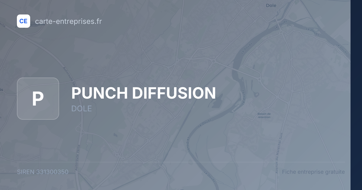 PUNCH DIFFUSION — 331300350 — fiche entreprise