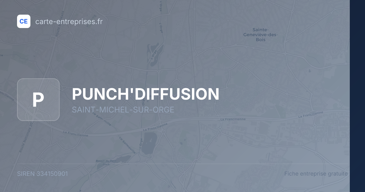 PUNCH'DIFFUSION — 334150901 — fiche entreprise
