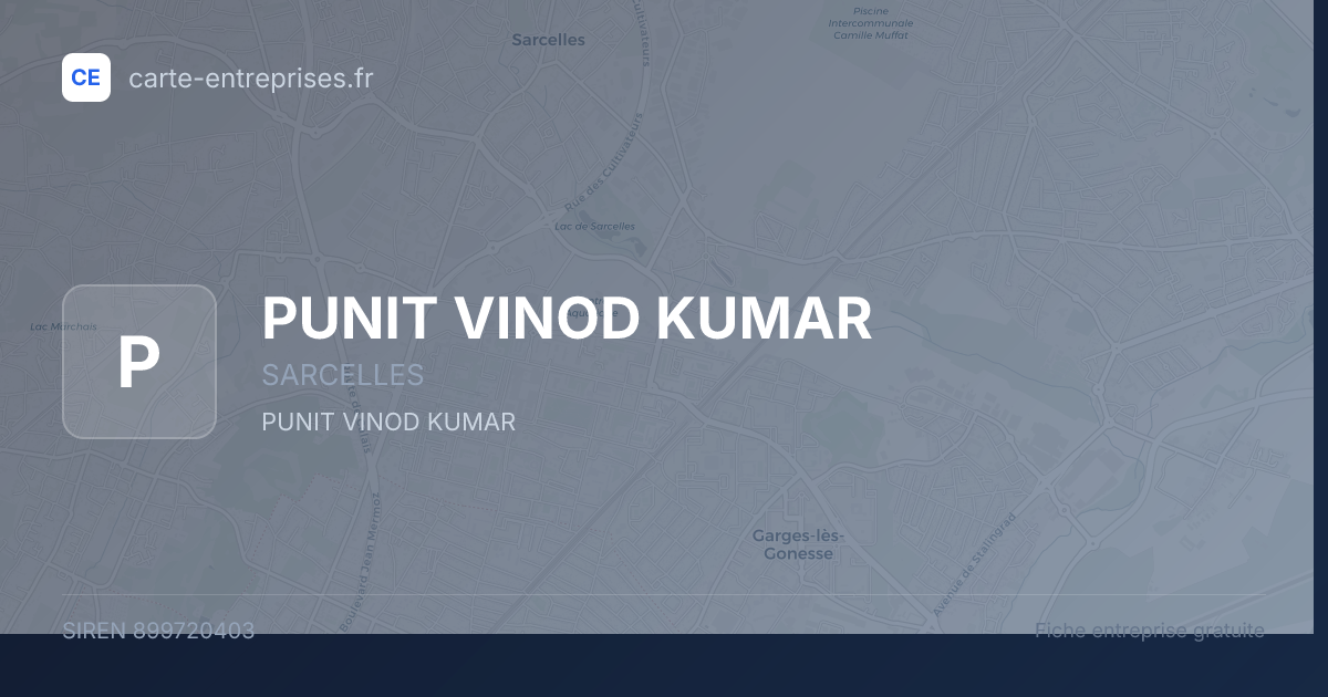 PUNIT VINOD KUMAR — 899720403 — fiche entreprise