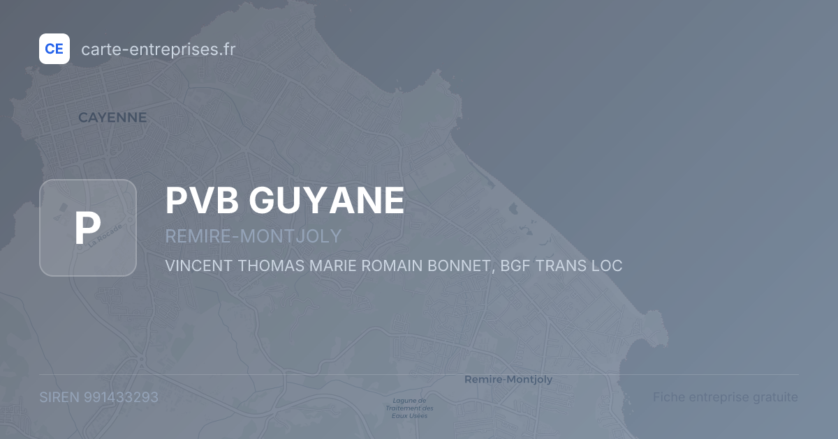 PVB GUYANE — 991433293 — fiche entreprise