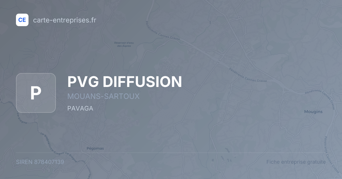 PVG DIFFUSION — 878407139 — fiche entreprise