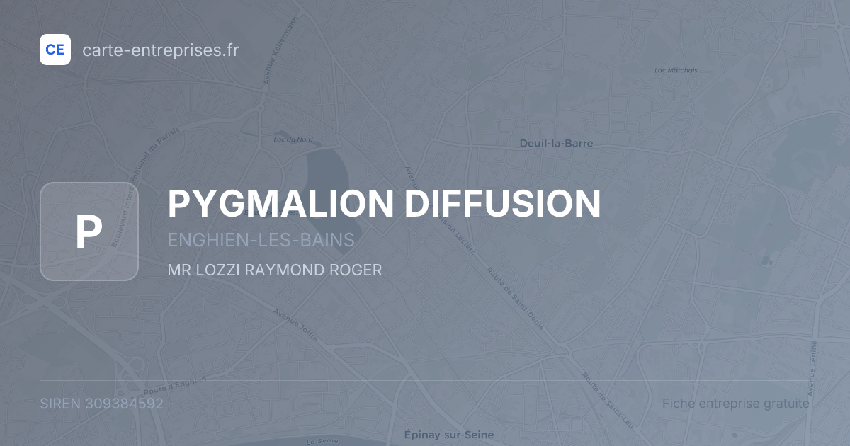 PYGMALION DIFFUSION — 309384592 — fiche entreprise