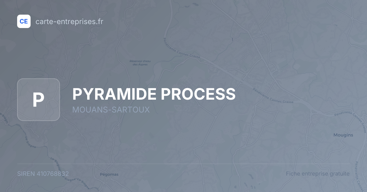 PYRAMIDE PROCESS — 410768832 — fiche entreprise