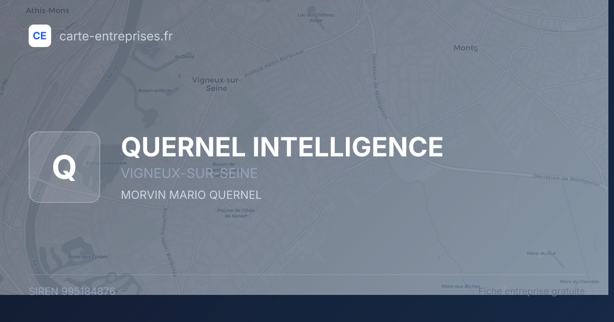QUERNEL INTELLIGENCE — 995184876 — fiche entreprise