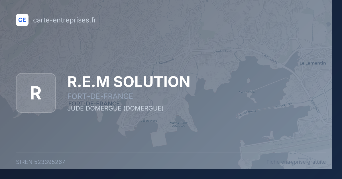 R.E.M SOLUTION — 523395267 — fiche entreprise
