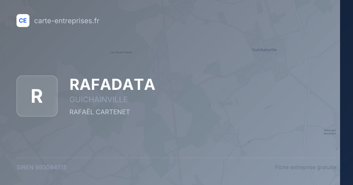 RAFADATA — 993094515 — fiche entreprise