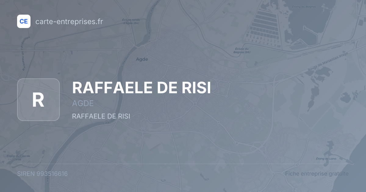 RAFFAELE DE RISI — 993516616 — fiche entreprise