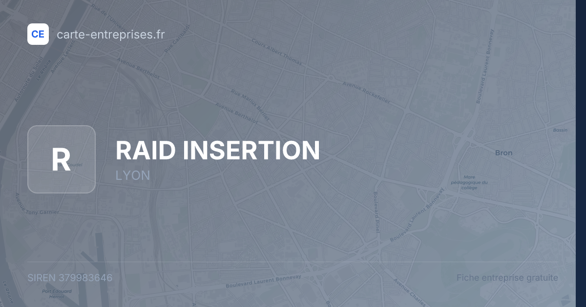 RAID INSERTION — 379983646 — fiche entreprise