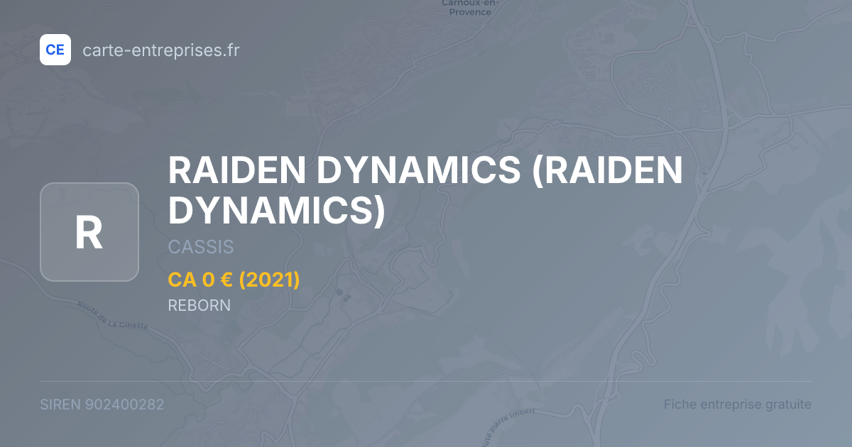 RAIDEN DYNAMICS — 902400282 — fiche entreprise