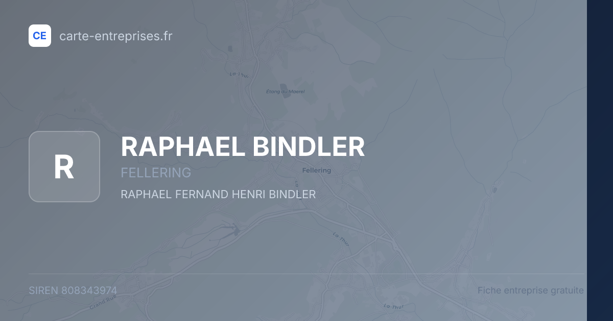 RAPHAEL BINDLER — 808343974 — fiche entreprise