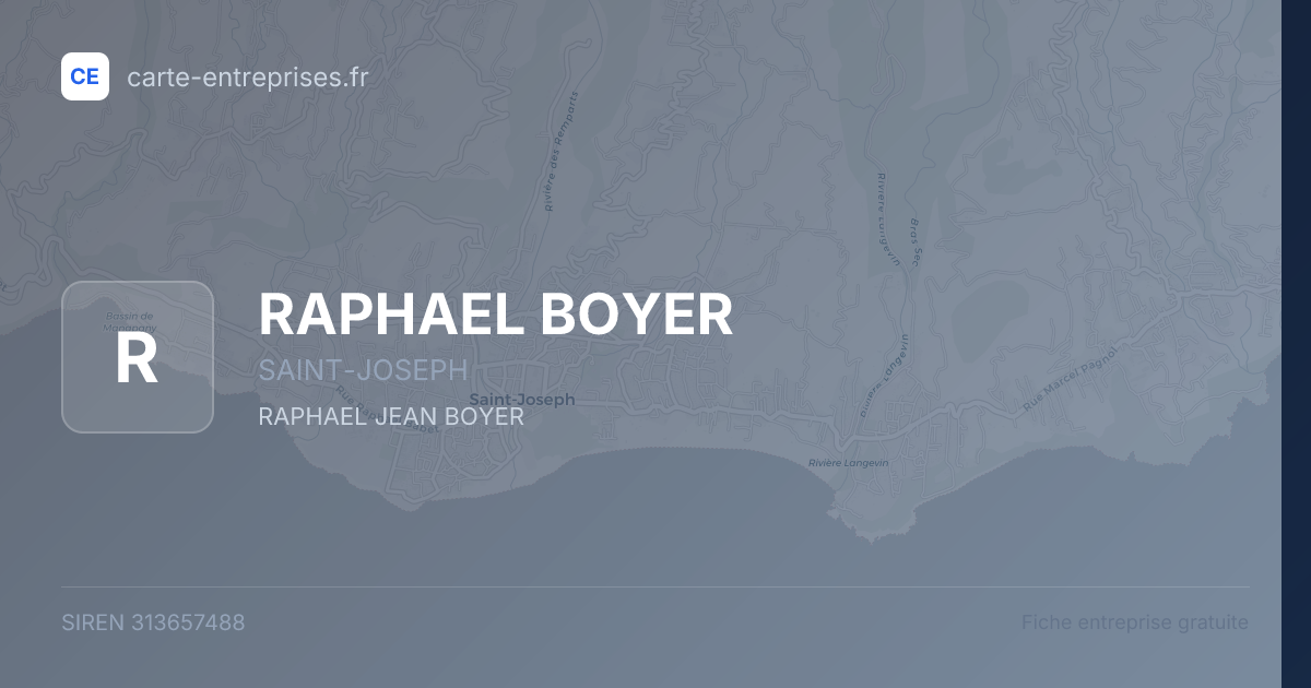 RAPHAEL BOYER — 313657488 — fiche entreprise