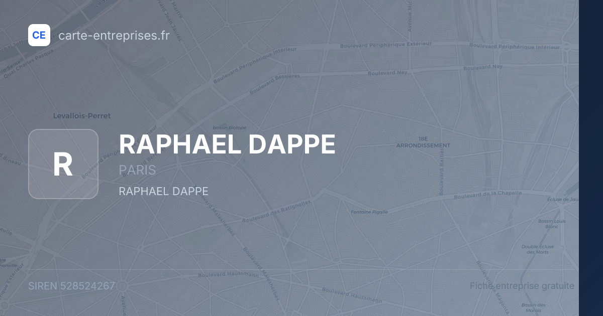 RAPHAEL DAPPE — 528524267 — fiche entreprise