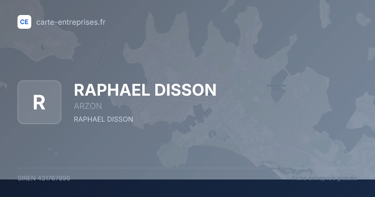 RAPHAEL DISSON — 431767896 — fiche entreprise