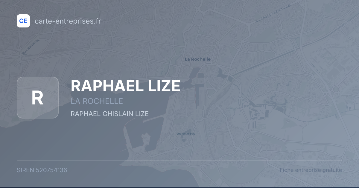 RAPHAEL LIZE — 520754136 — fiche entreprise